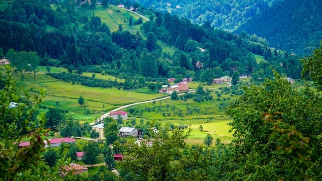Bild från Trabzon i Turkiet.